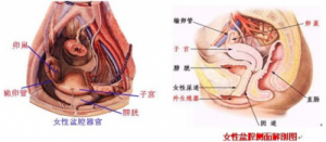 多囊卵巢综合症应如何治疗