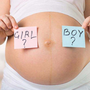 孕期有氧运动操都有什么