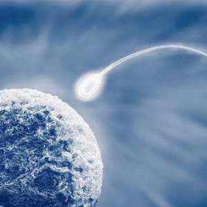 卵巢功能检查都包括什么
