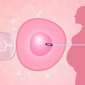 试管婴儿移植后的孕期计算方法